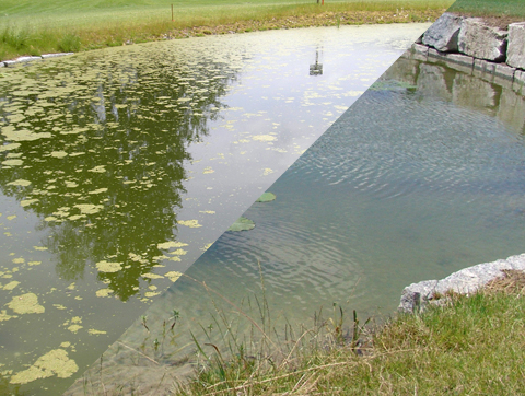 golf_pond_before_after