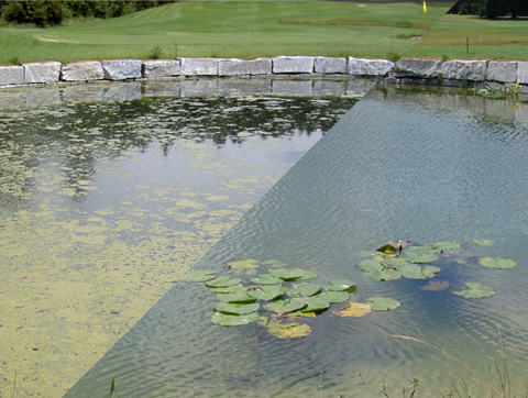 golf_pond_before_after2